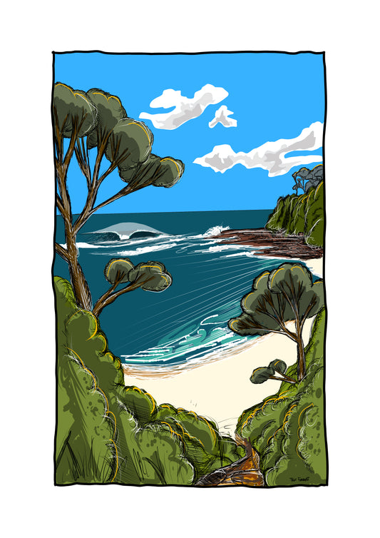 Lobster Jacks- HIGH RESOLUTION FILE